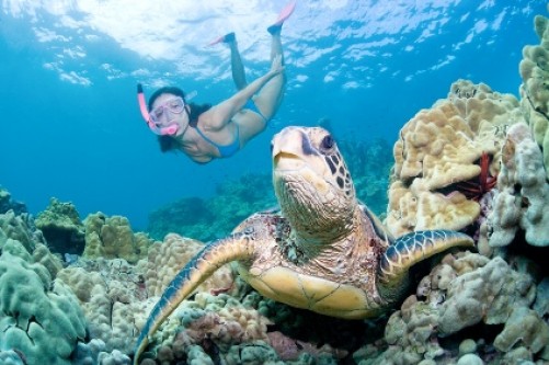 Zanzibar Kuzey Kıyısı ve Kaplumbağa Korunağı Turu